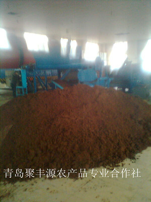 青島聚豐源農(nóng)產(chǎn)品專業(yè)合作社