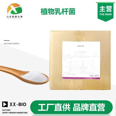 植物乳桿菌