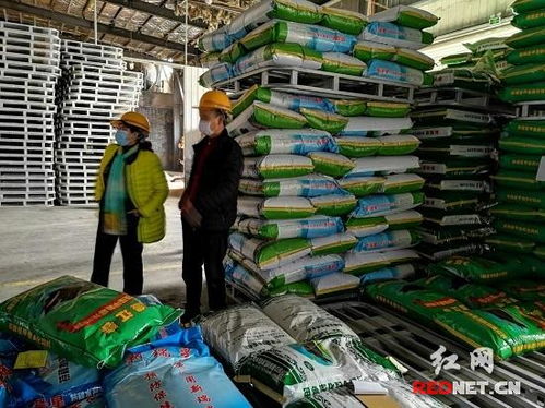褚新年督導(dǎo)企業(yè)復(fù)工復(fù)產(chǎn)及疫情防控工作