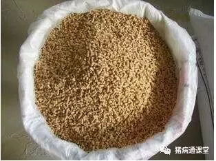 規(guī)模養(yǎng)豬場生產(chǎn)如何把控 營養(yǎng) 環(huán)境 獸藥和疾病防空 四大關(guān)口